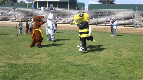 From YouTube to Superstar: How Mascot Dance Videos Go Viral